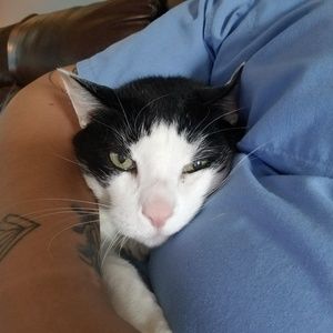 Meet your Posher, Jackie